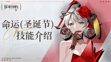 奏者技能介绍丨命运（圣诞节）