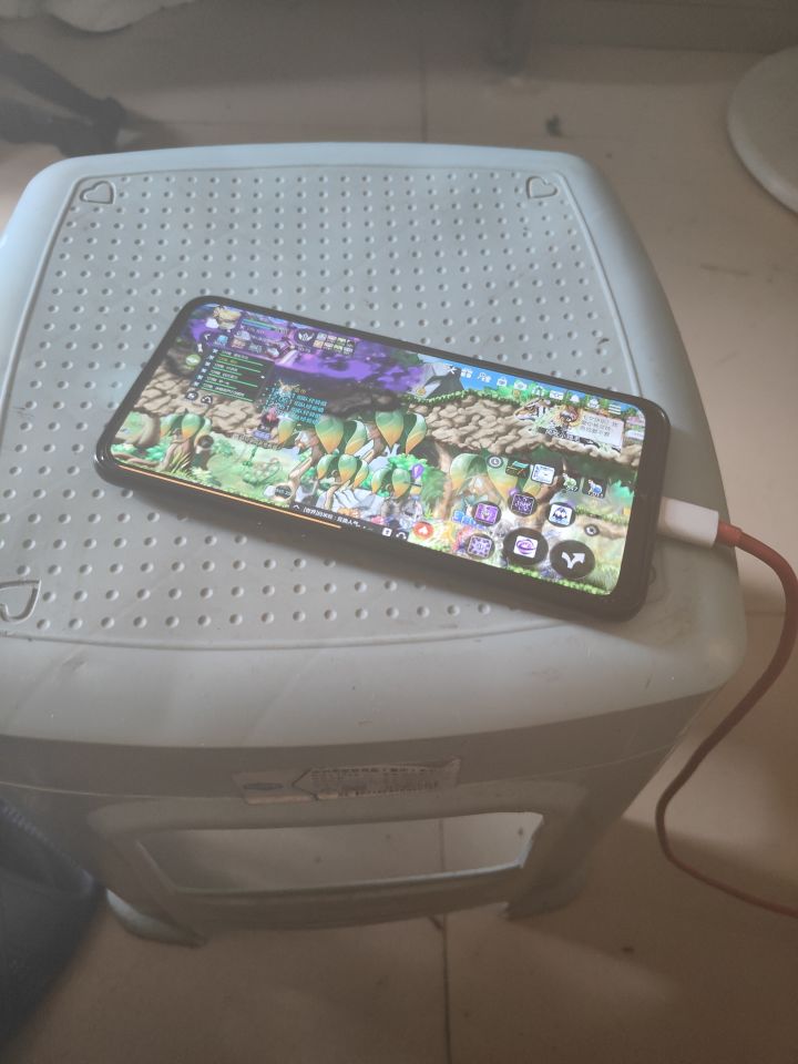 这种游戏只能放养截图