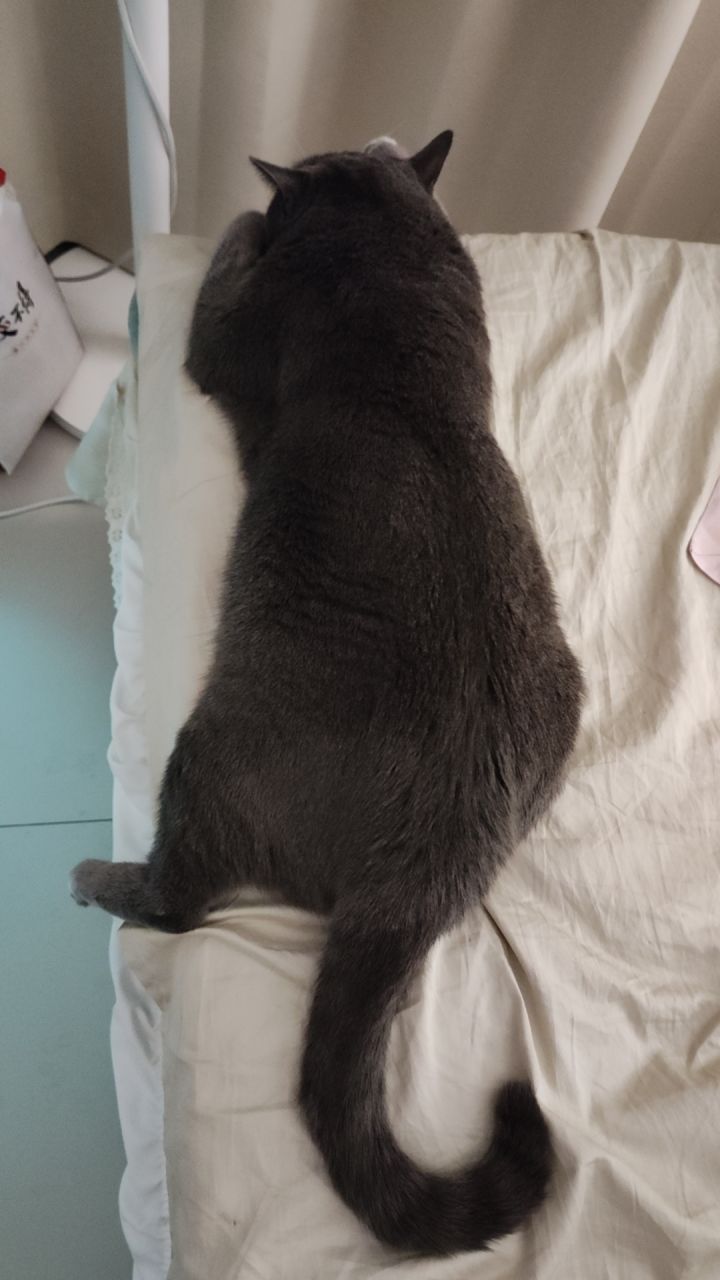 太超你赢了截图
