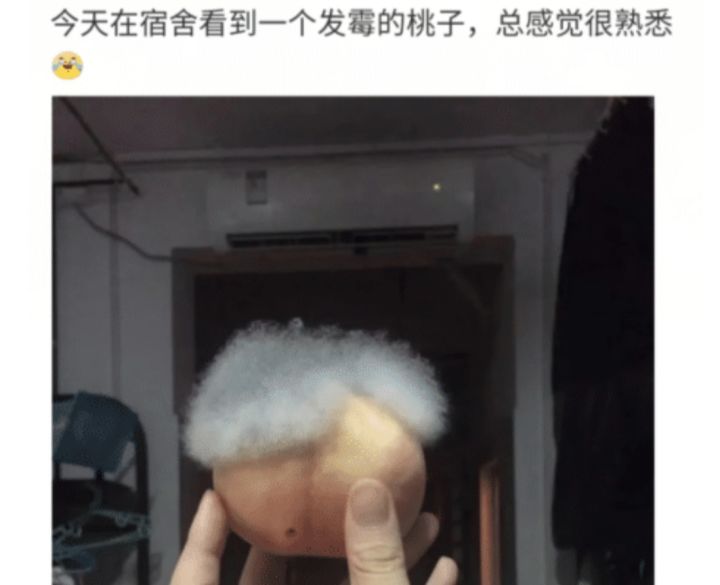 要不要留着鬼剑玩剑魂截图