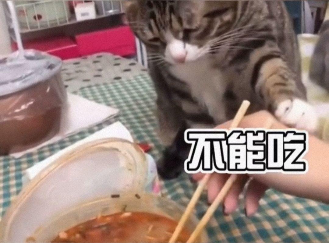 果然是良心游戏啊 2