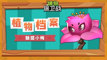 「植物档案」魅惑小梅