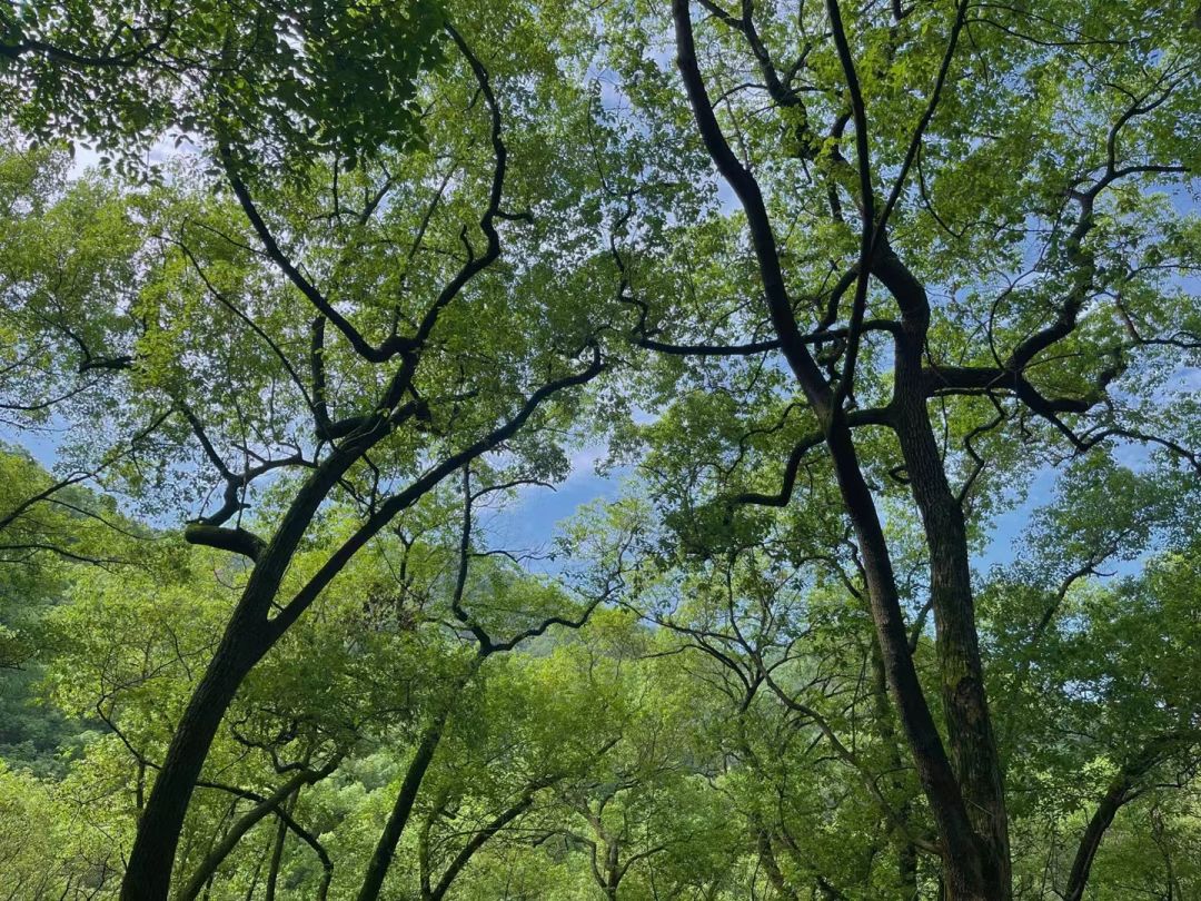 每日任务小技巧:可能大家都知道，就是记得凌晨每日任务刷新前，记得把背包里面提交任务的东西放到箱子里面，放上萝卜或者桃子或者其它蔬菜，然后凌晨12点前刷新任务，等任务刷新后就会只收背包里面有的简单物品，这样可节约成本和时间。[表情_斜眼笑]截图
