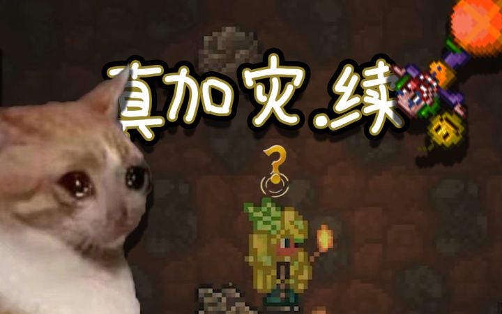 泰拉瑞亚真实灾厄!僵尸横着飞!截图