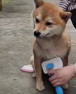有什么推荐的游戏吗 1