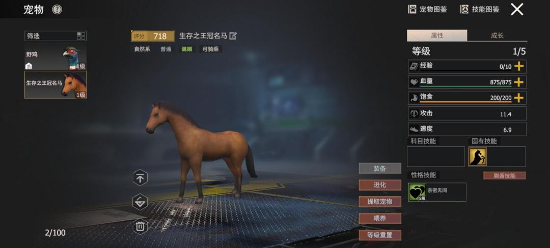 宠物 1
