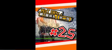 最后太欺负人了《坦克世界闪击战》神T喵镜头#25