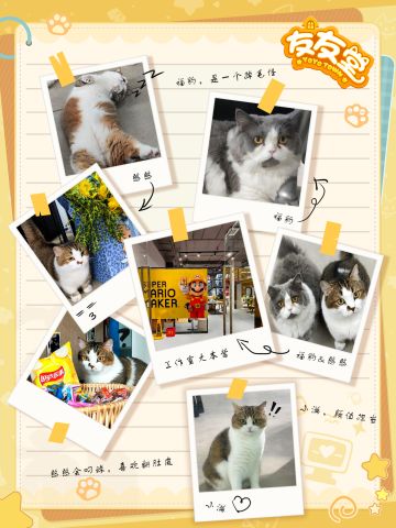 「奇遇测试」开服啦！一些想对友友们说的话