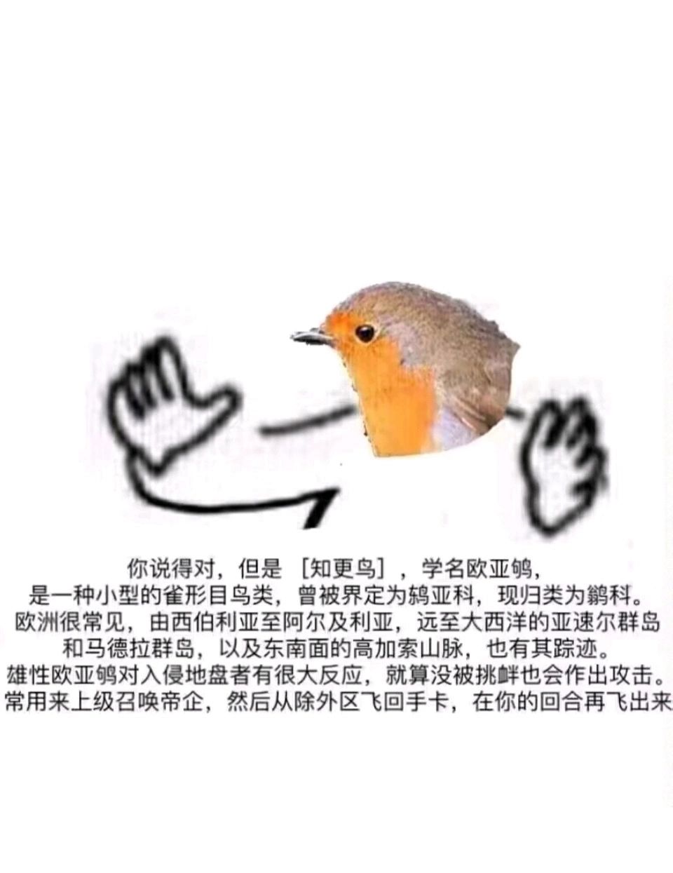 反馈一个bug(小鸟镇楼) 1