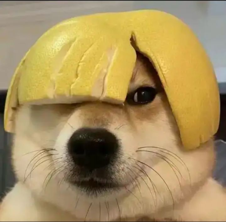 自建号好还是自抽号好截图
