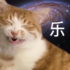 奖池里有蓝楹花! 1