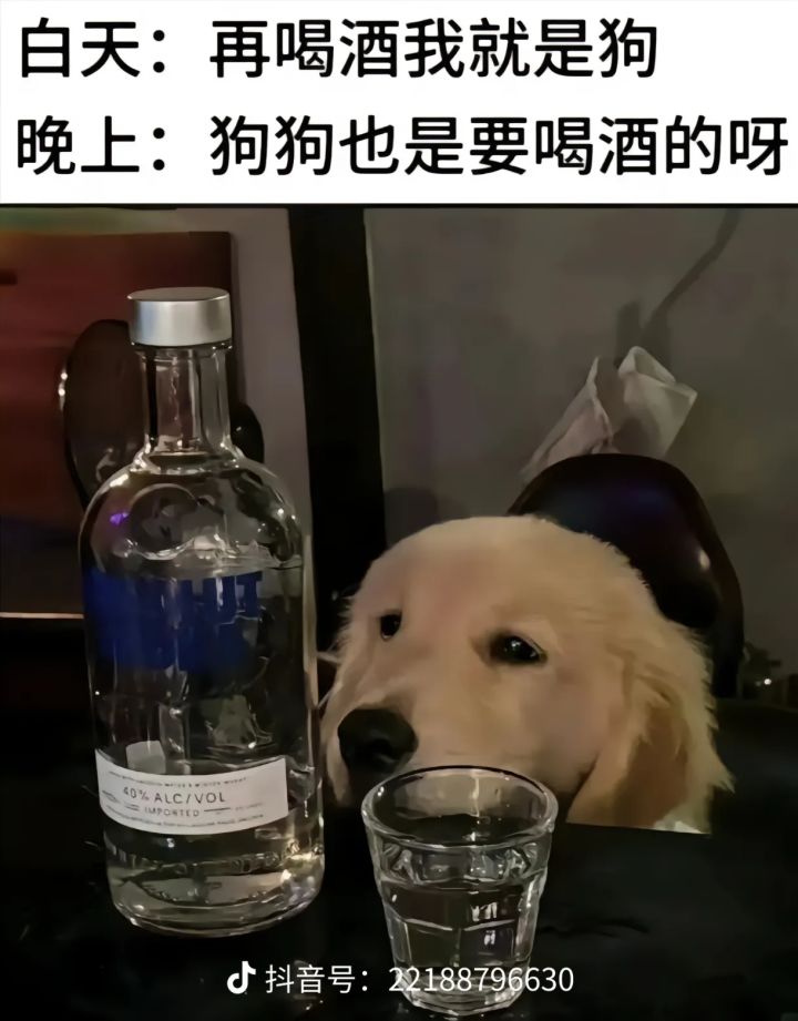 关于公会等级和行商系统(bug反馈)!截图