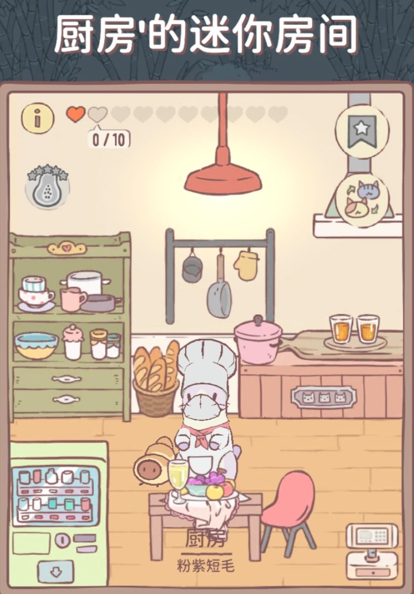 可爱猫猫2 6