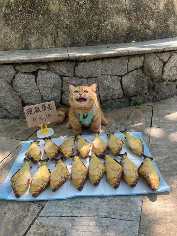 请问同学们截图