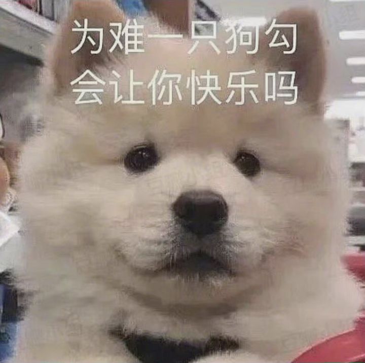 打卡第二十日截图