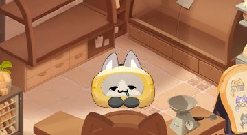 【心得】如何成为猫猫包大师