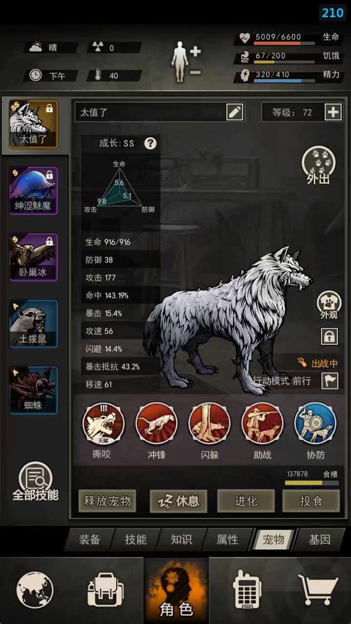 红温中 3