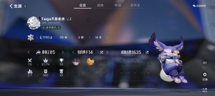 终于王者了截图