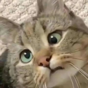 拒绝谢谢参与，从每个人做起