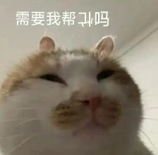 还有人在玩吗。。。截图
