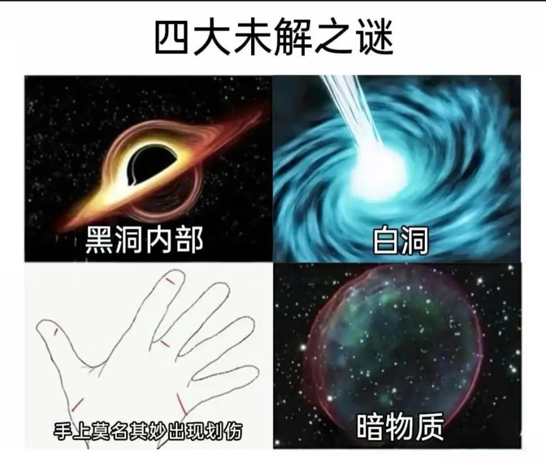 哈神金,害我莫名其妙笑了好几下,点进来笑 3