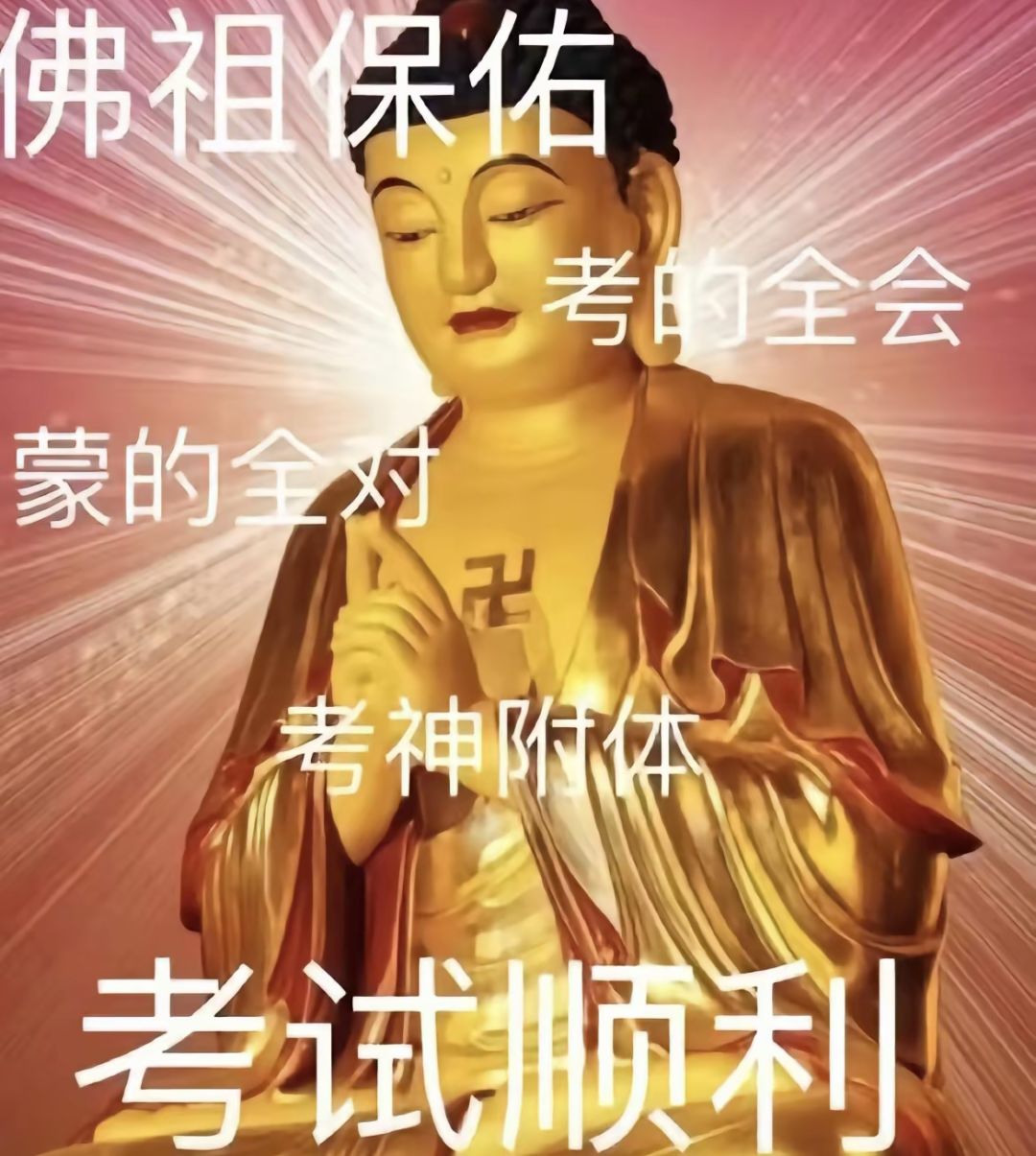 动态图片 5