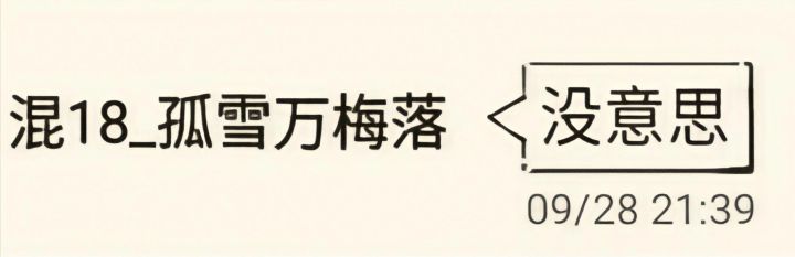 暴走国庆新武学爆料截图
