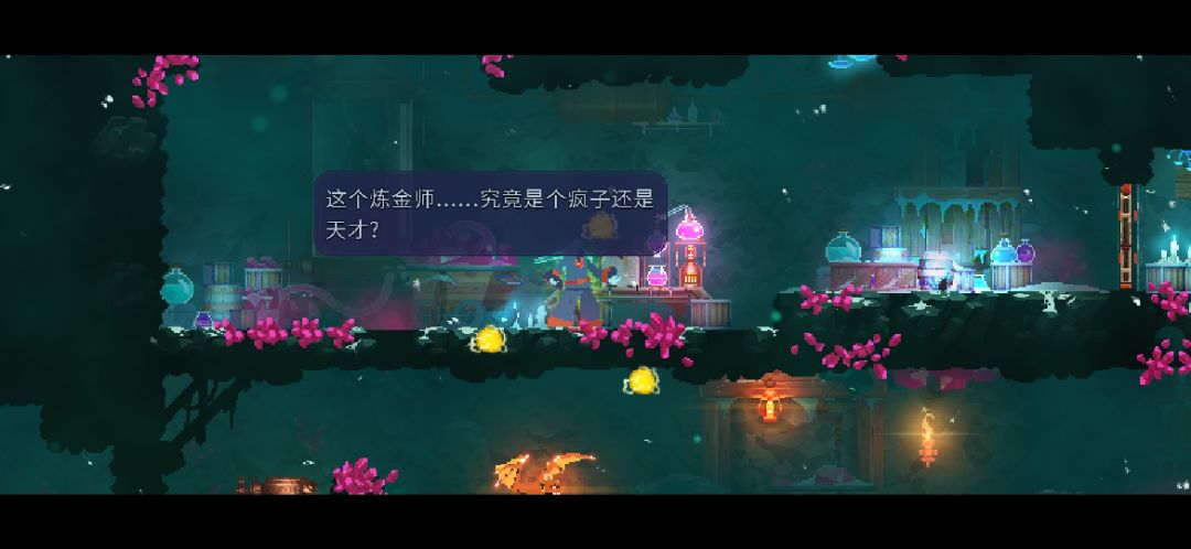 动态图片 2