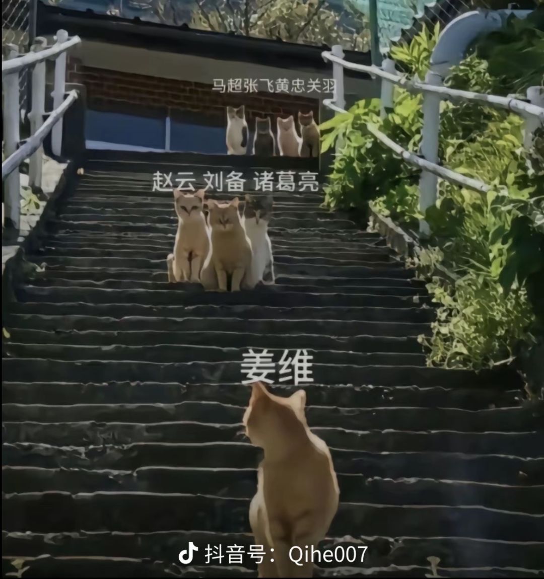 一张图理解姜维的心情 1
