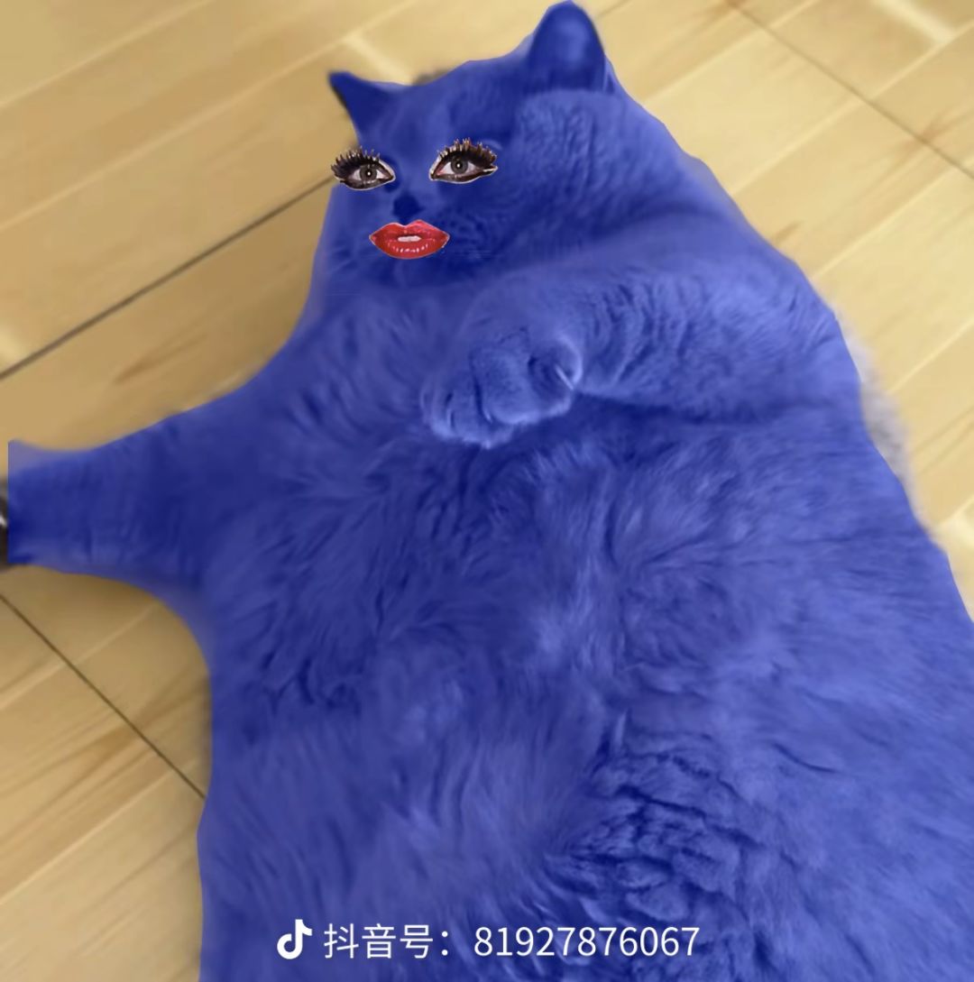 泰拉瑞亚附魔剑种子推荐 1