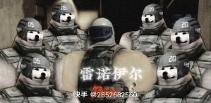 动态图片 5