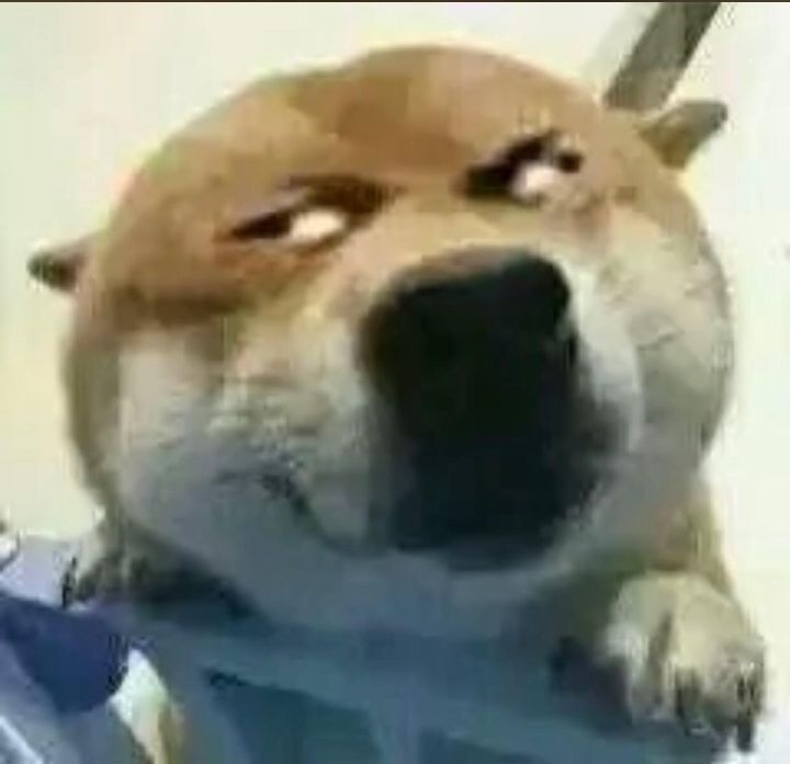 怎么又是黄金之战 1