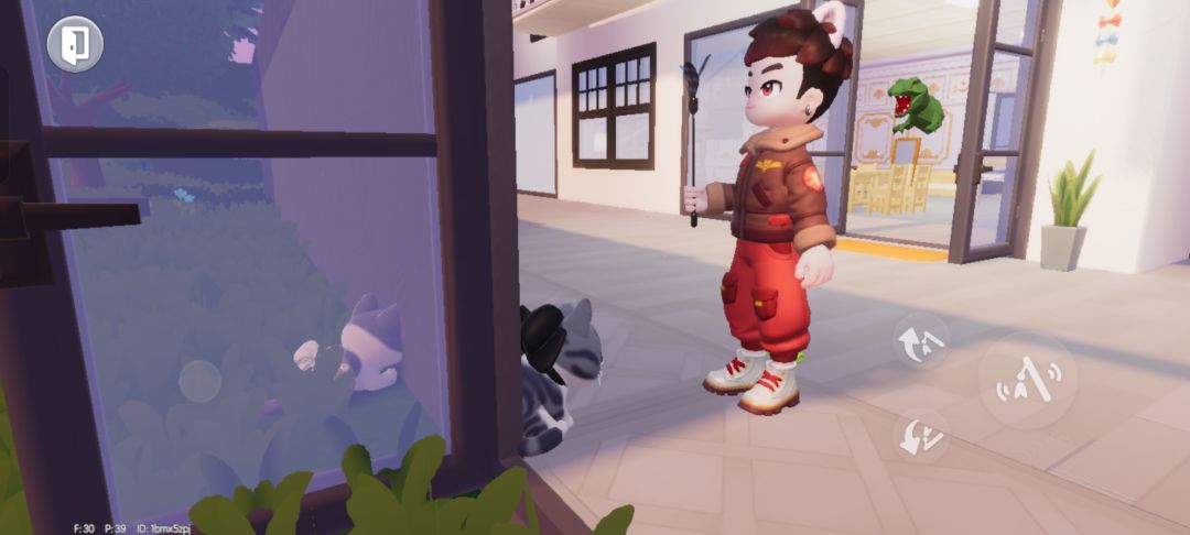 我家的猫动不动地生气 5