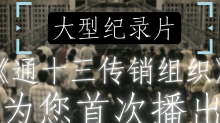 大型纪录片《通十三传销组织》截图