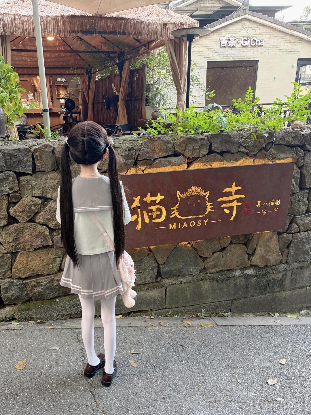 送20万元宝会噶?宠物谷降低难度啊 4