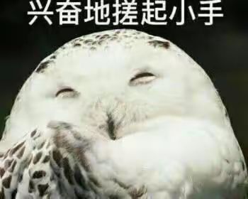 远光84抢救思路 1