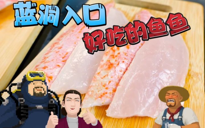 【戴夫杂谈】蓝洞入口和中间水域好吃的鱼鱼截图