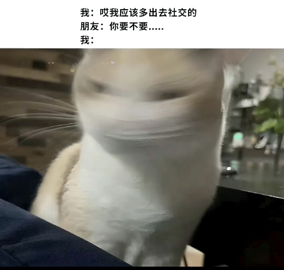 发一波梗图…(1) 3