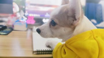 启示屋抽卡活动周及夏日欢歌活动攻略【屯资源的好处提现出来了吧!】