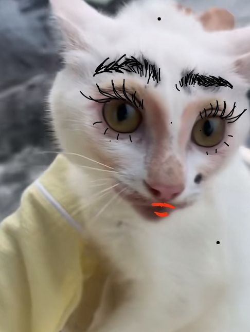 讨债贴 3