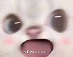 啦啦啦 7