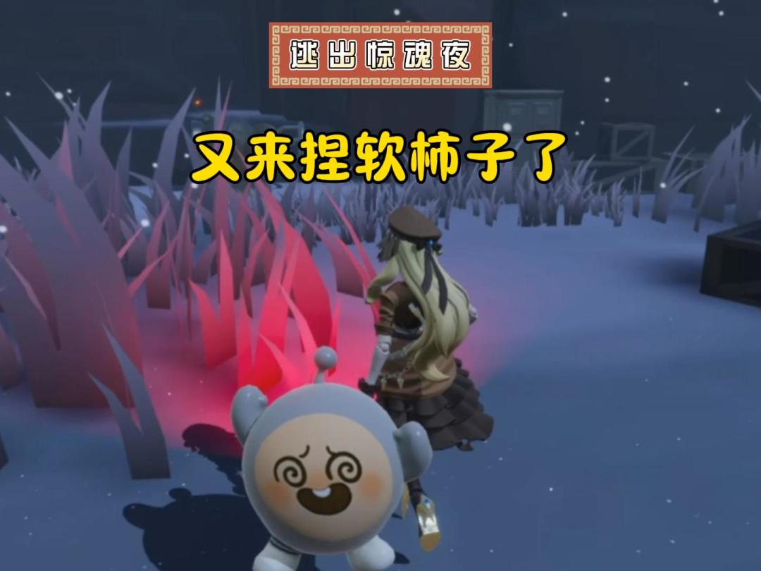 video-5674093
