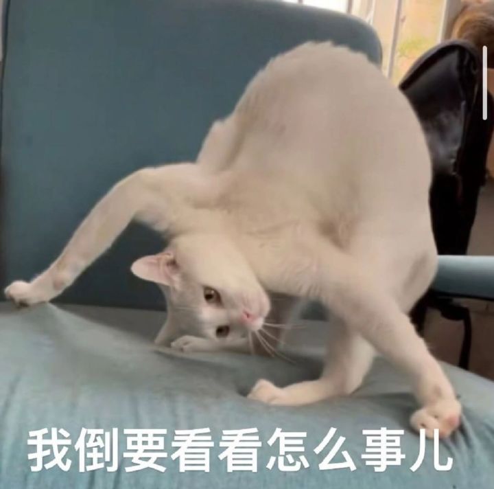 辅助玩家适合入坑吗？截图
