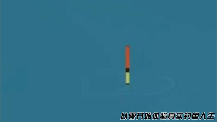 从零开始体验真实钓鱼人生截图