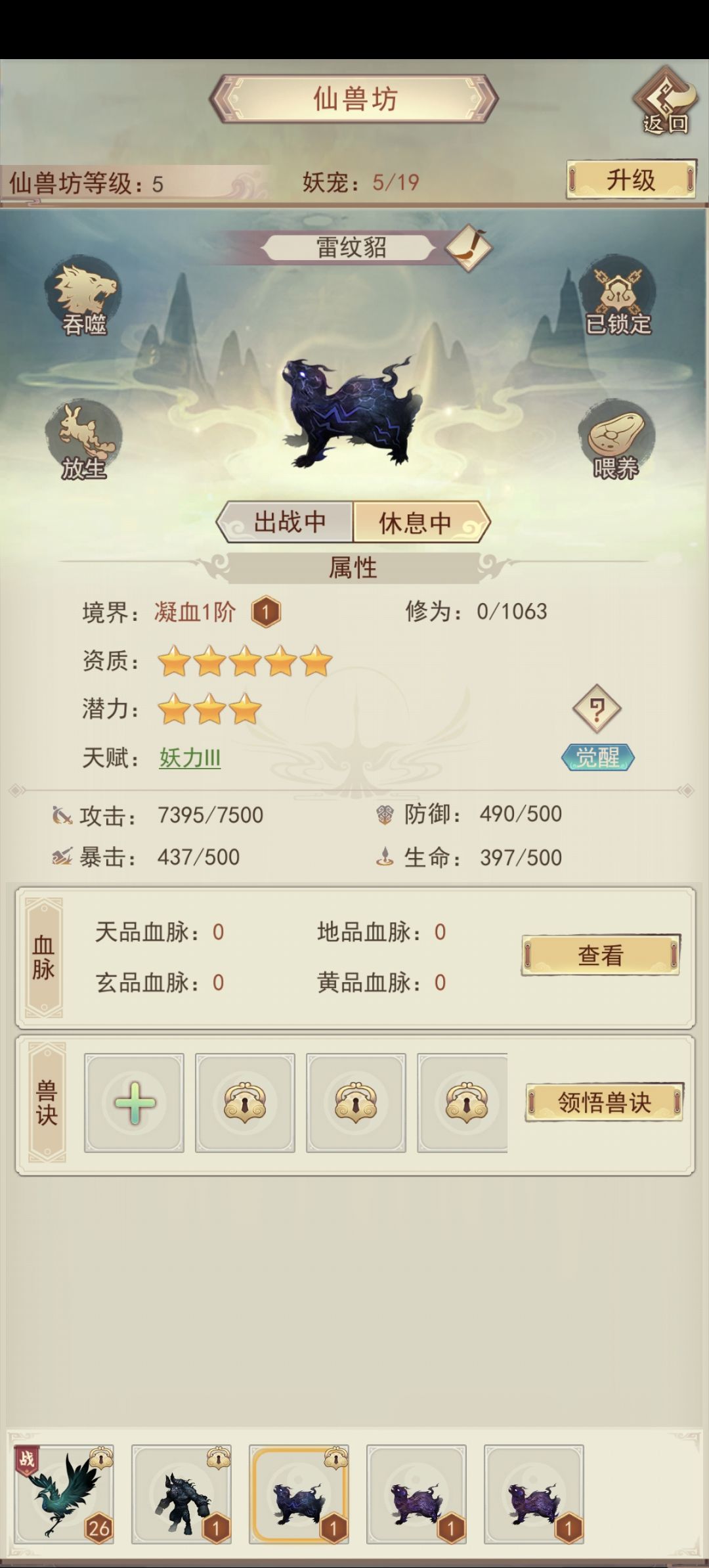 宠物 1