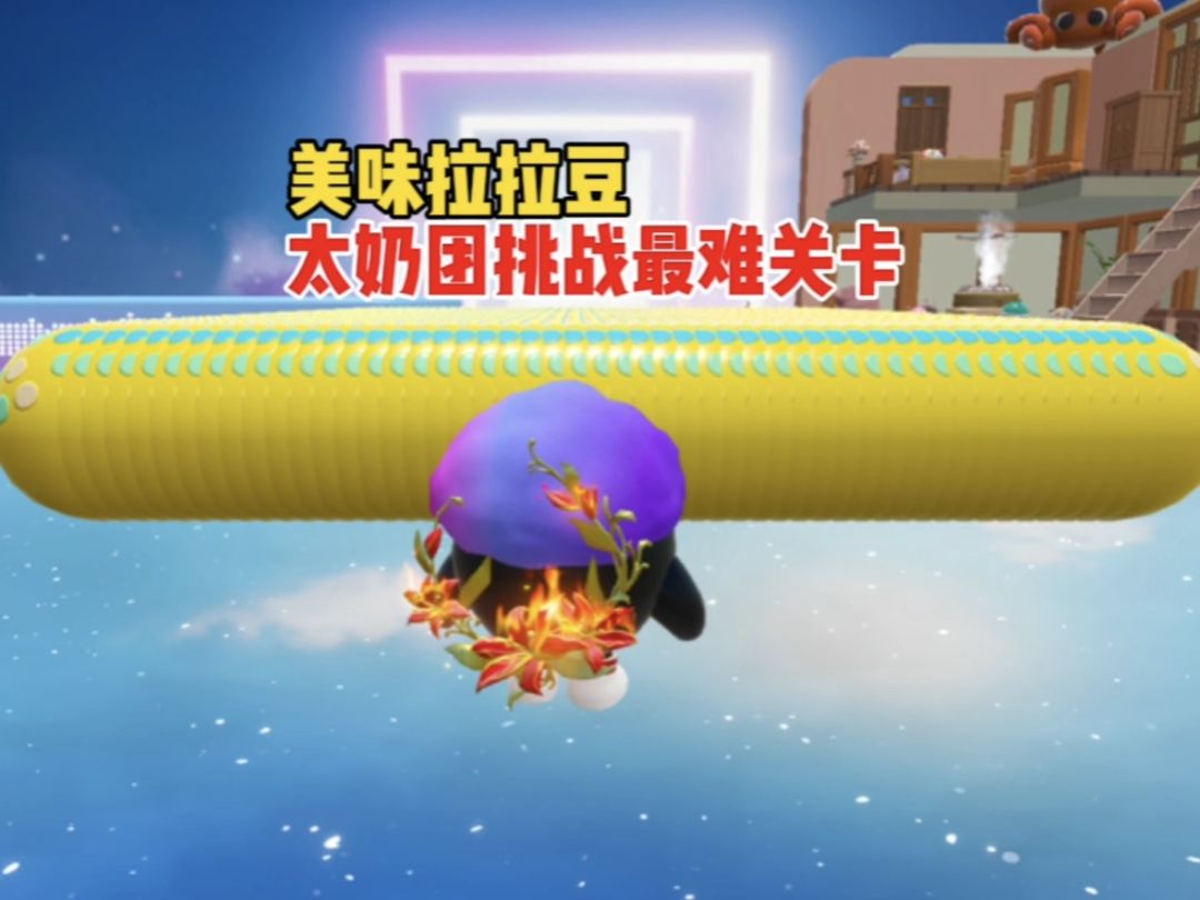 video-4874424