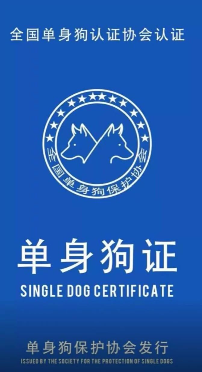 动态图片 7