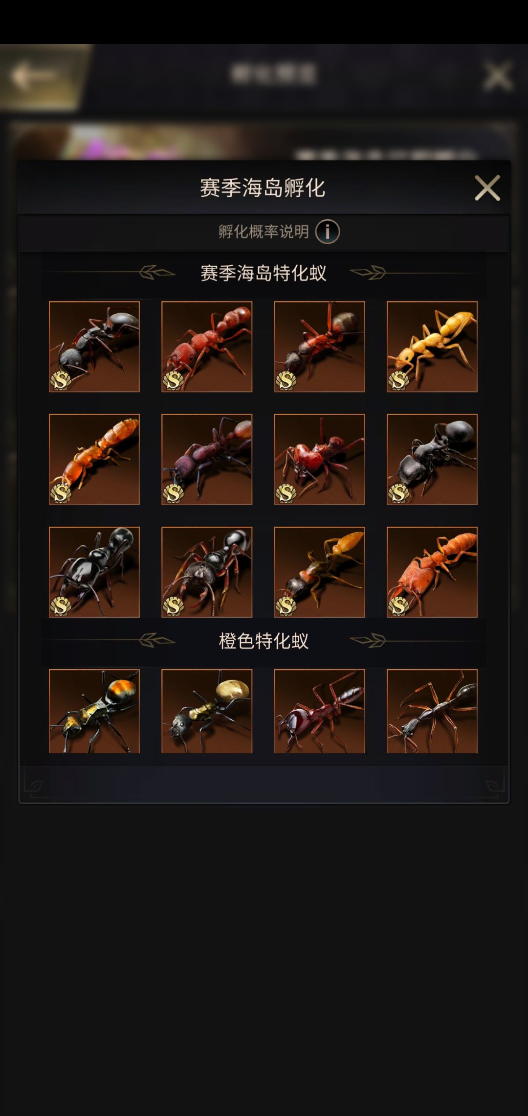 动态图片 5
