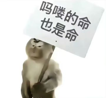 【攻略】小黑爆米花+六模红叶近战冰矩阵玩法----偶然插足大佬之间的战争瑟瑟发抖