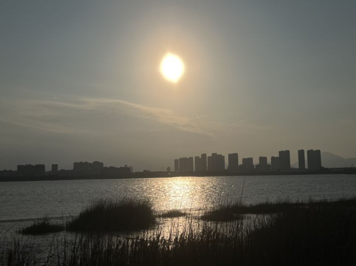 御魂这个有抽的必要吗截图